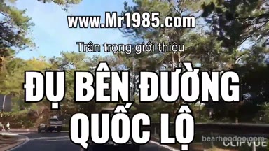 mr1985